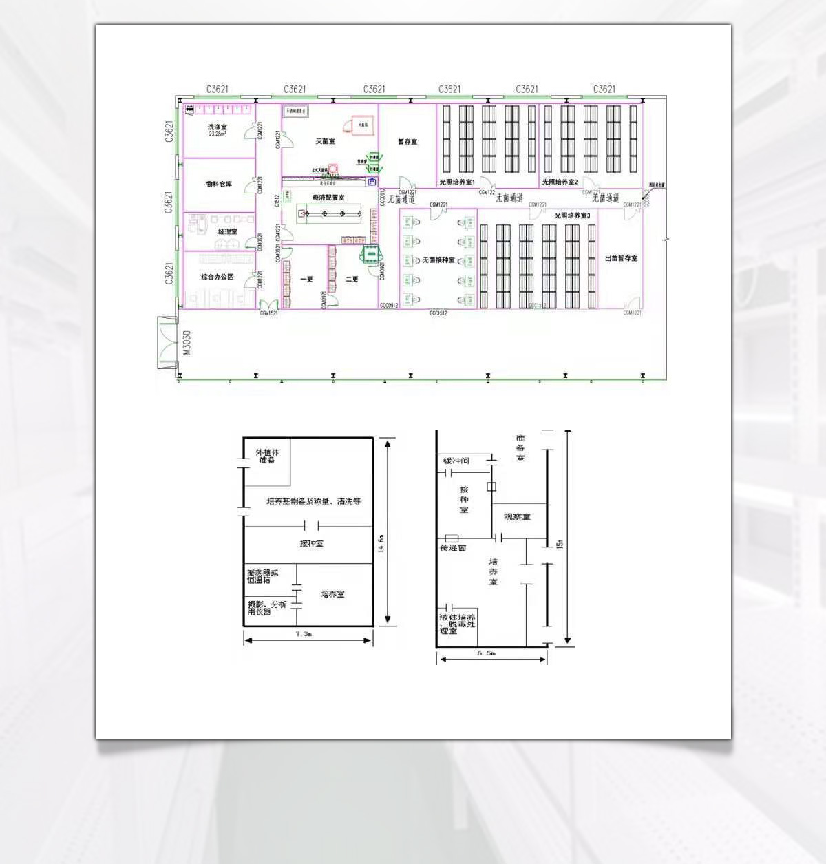 草莓视频18免费观看稱量配藥室