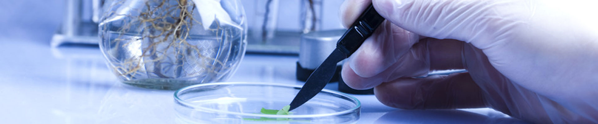 草莓视频18免费观看設備