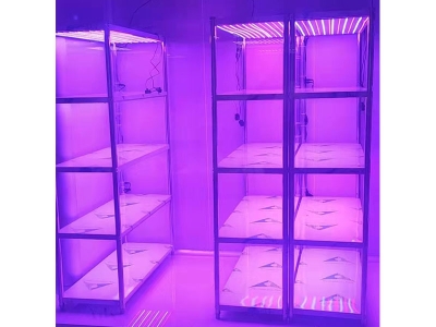 光照強度可調草莓视频18免费观看架