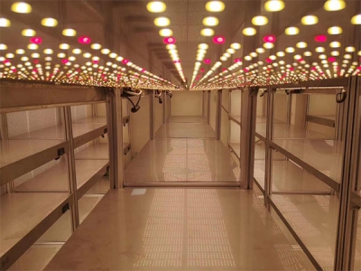 草莓视频18免费观看架