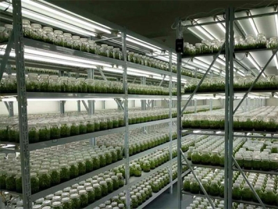 草莓视频18免费观看設備