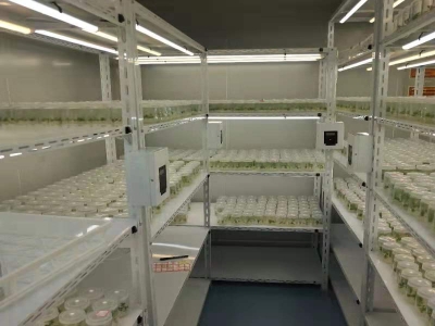 草莓视频18免费观看儀器